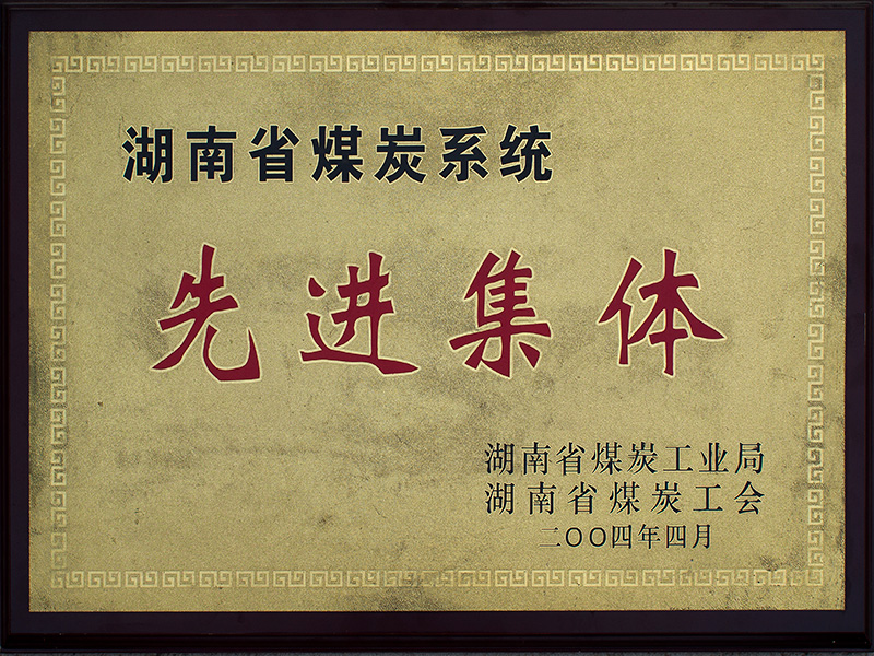 2004年湖南省煤炭系統(tǒng)先進(jìn)集體